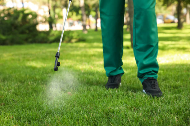 Best Commercial Pest Control Services  in Tahoe Vista, CA
