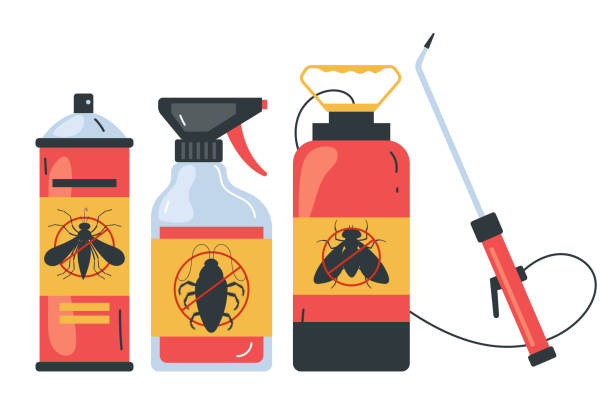 Best Termite Control Services  in Tahoe Vista, CA