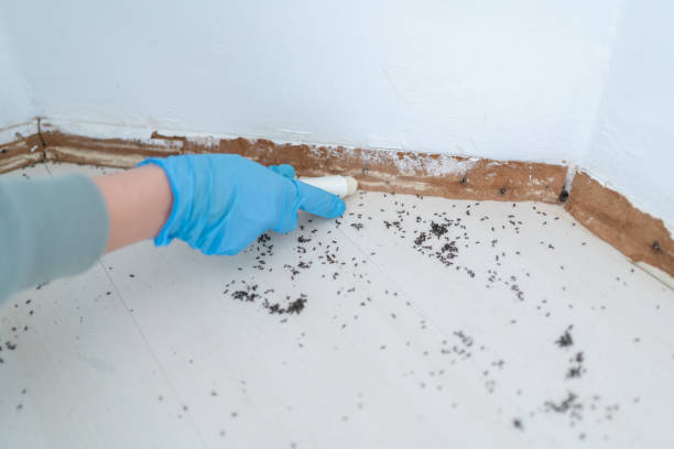 Wildlife Control Services in Tahoe Vista, CA
