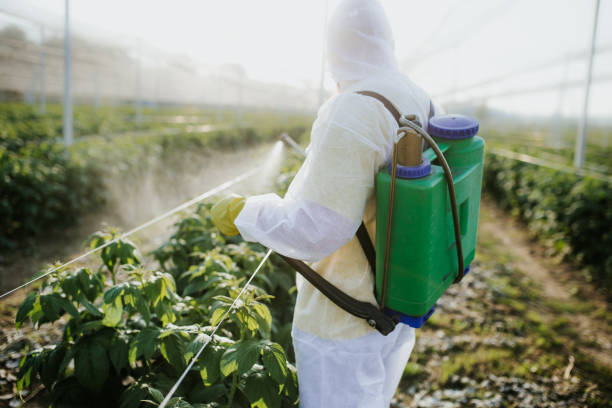 Best Affordable Pest Control Services  in Tahoe Vista, CA